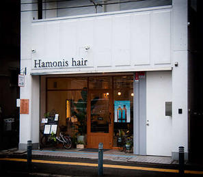 Hamonis Hair