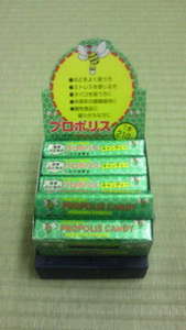 心もからだも美しく!への道(お助け編)2010