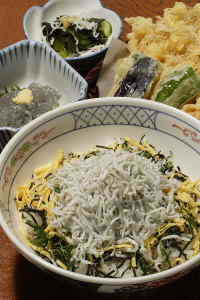 YoungSardine Set「Koyurugi」