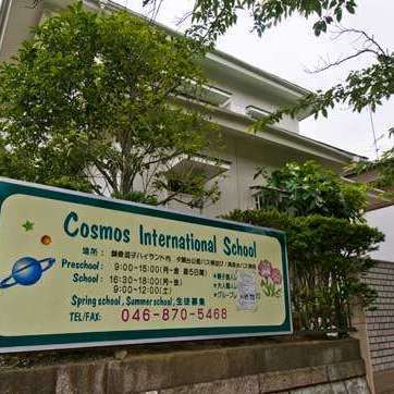 Cosmos International School
