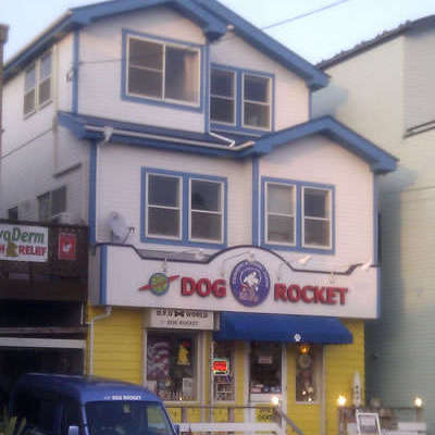 DOG ROCKET